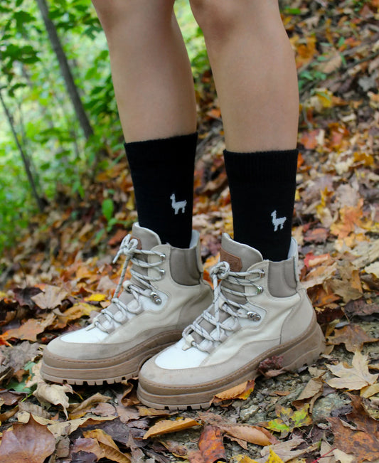 Redefining Basics: The Everyday Alpaca Black Sock