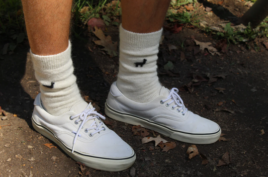 Everyday Luxury: The Everyday Alpaca Sock