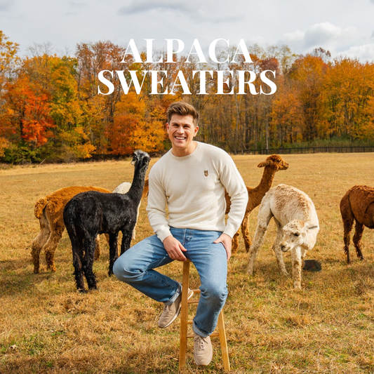 Allen Paca: A Chester County Alpaca Clothing Brand with Local Roots