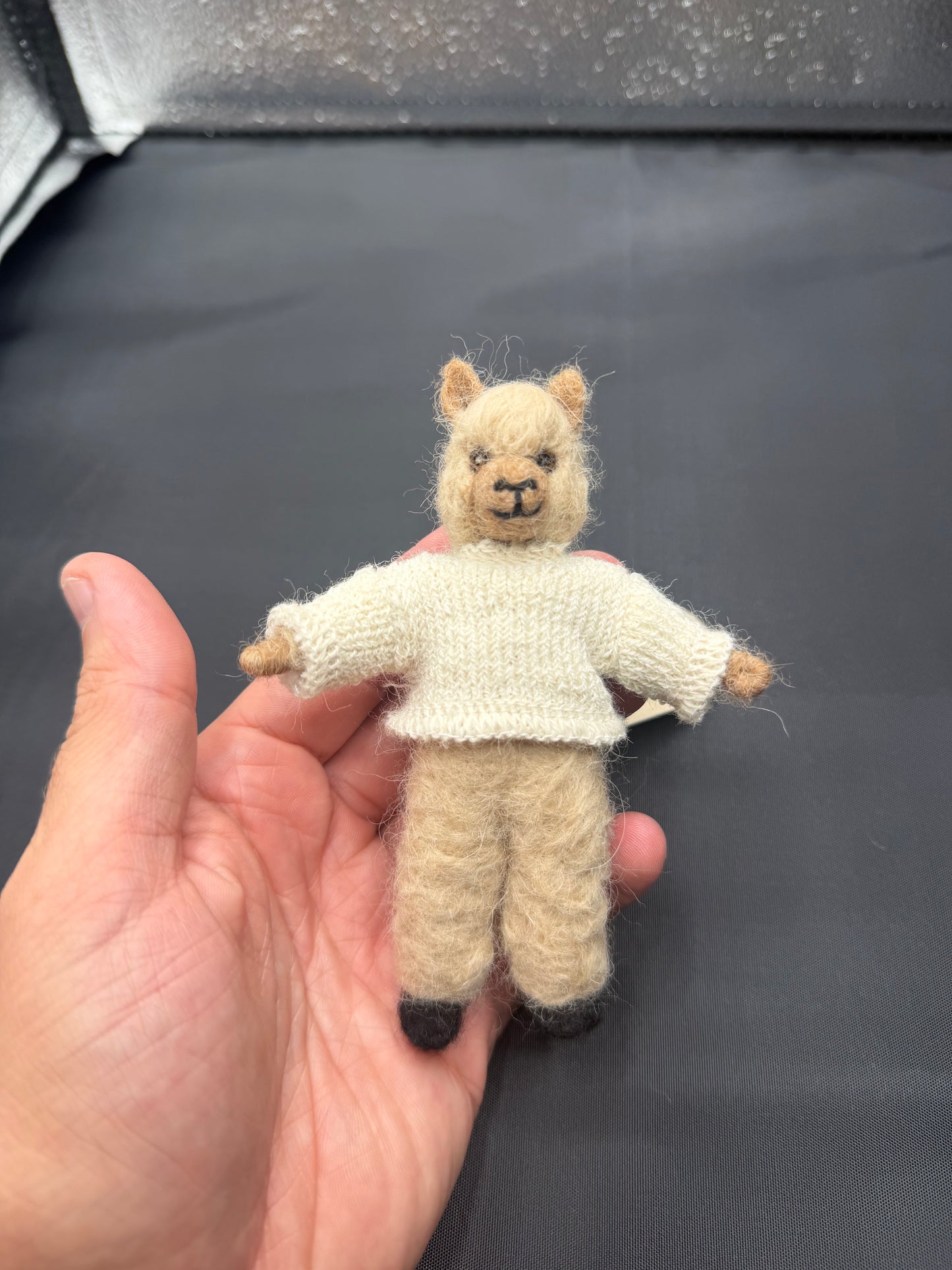 The Allen Paca Character Charm