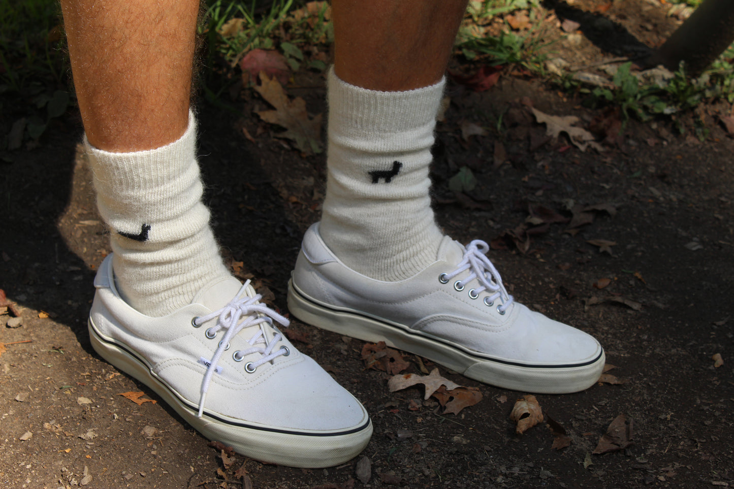 Everyday Alpaca Sock - Cream