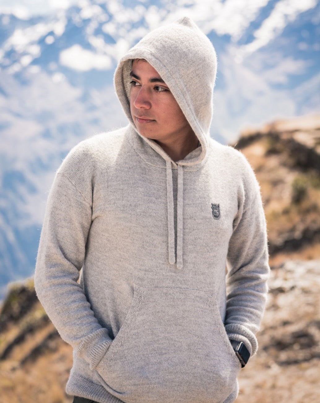 The Grey Hoodie