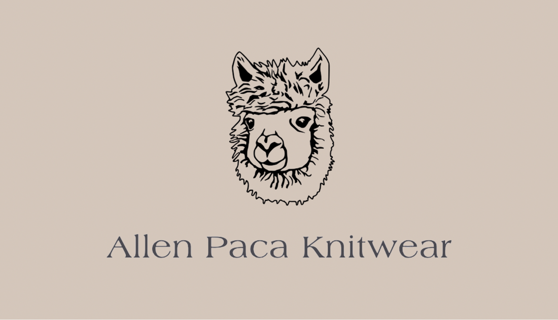 How Allen Paca Got Started