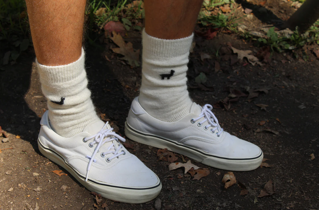 Everyday Luxury: The Everyday Alpaca Sock